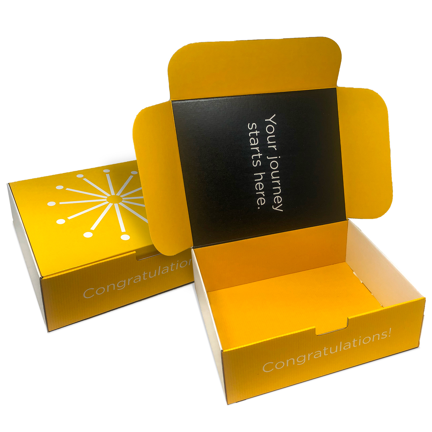 Custom Boxes Econolux Mailer Jumbo Size 12" x 10" x4" 1