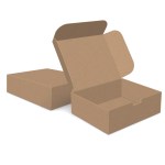 Custom Boxes Econolux Mailer Jumbo Size 12" x 10" x4" 2 Custom Boxes Econolux Mailer Jumbo Size 12" x 10" x4" 2