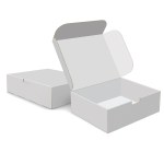 Custom Boxes Econolux Mailer Jumbo Size 12" x 10" x4" 3 Custom Boxes Econolux Mailer Jumbo Size 12" x 10" x4" 3