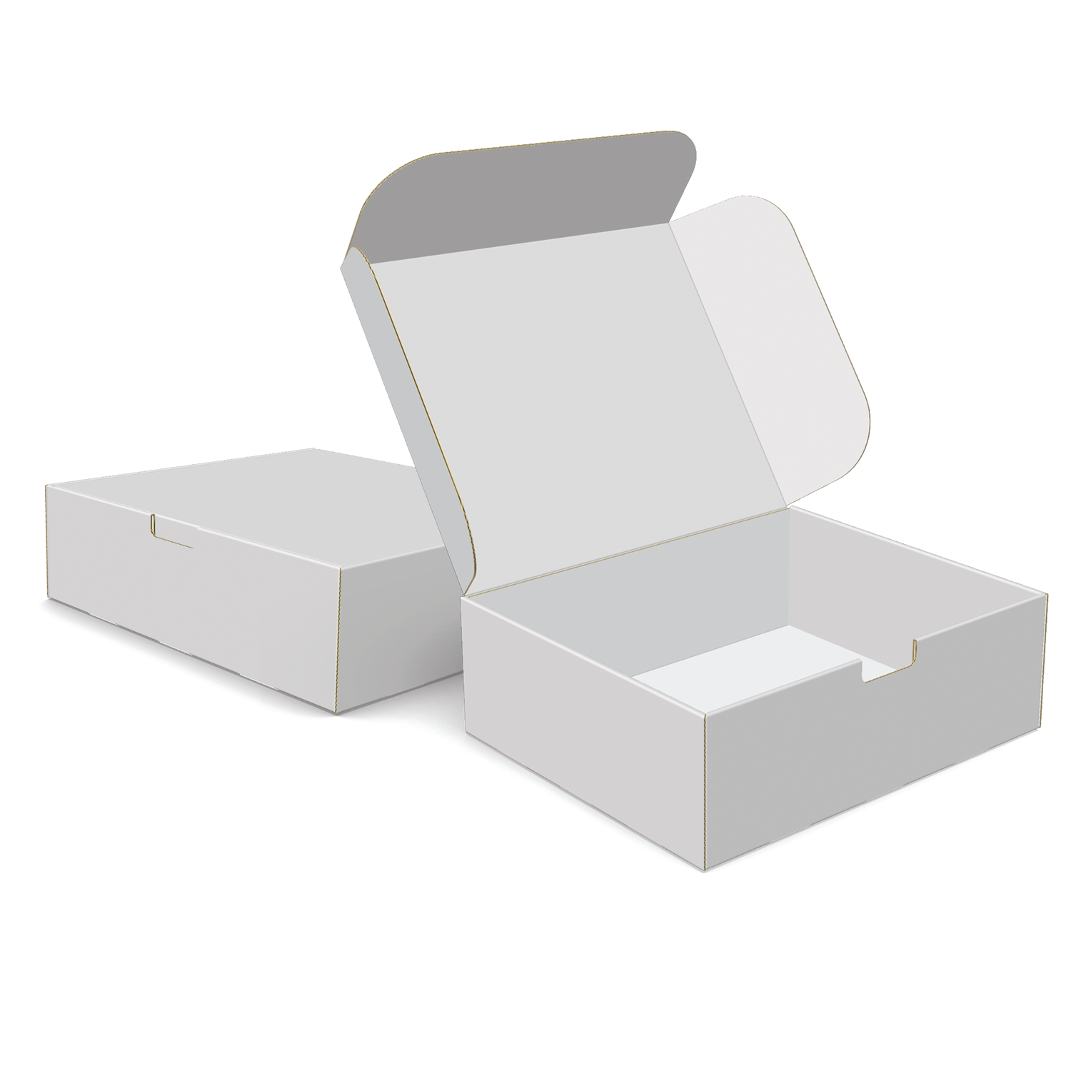 Custom Boxes Econolux Mailer Jumbo Size 12" x 10" x4" 1