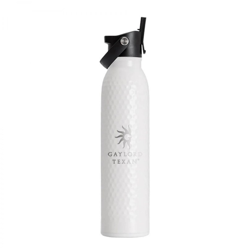 Swig 20oz Golf Partee Flip + Sip Water Bottle 1 Swig 20oz Golf Partee Flip + Sip Water Bottle 1