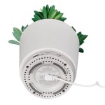 iHome PowerPlant USB Charging Station, Faux Succulent with USB Charger (iPP35) - White iHome PowerPlant USB Charging Station, Faux Succulent with USB Charger (iPP35) - White
