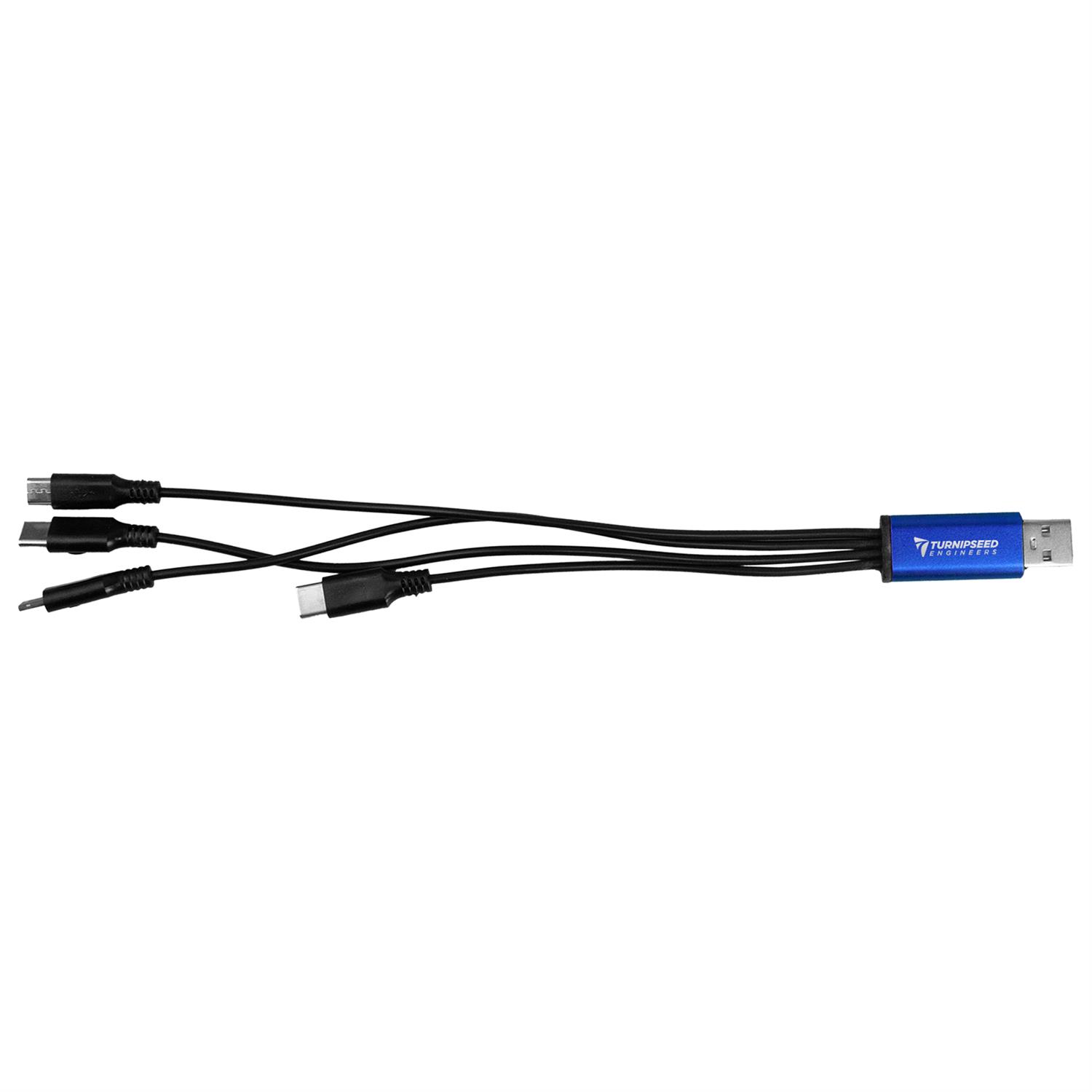 4-in-1 Dual Input Accent Cable 1
