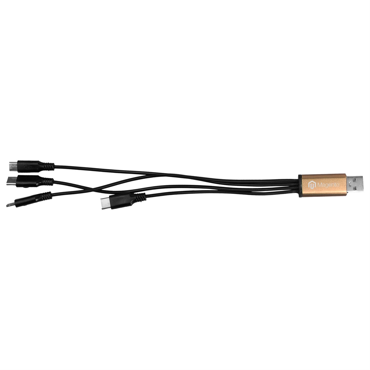4-in-1 Dual Input Accent Cable 1