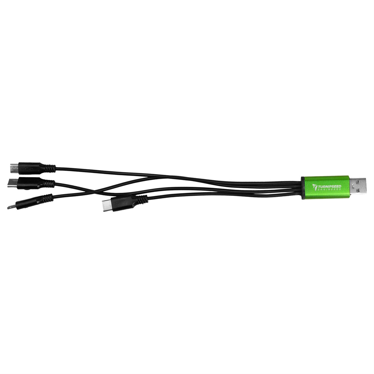 4-in-1 Dual Input Accent Cable 1
