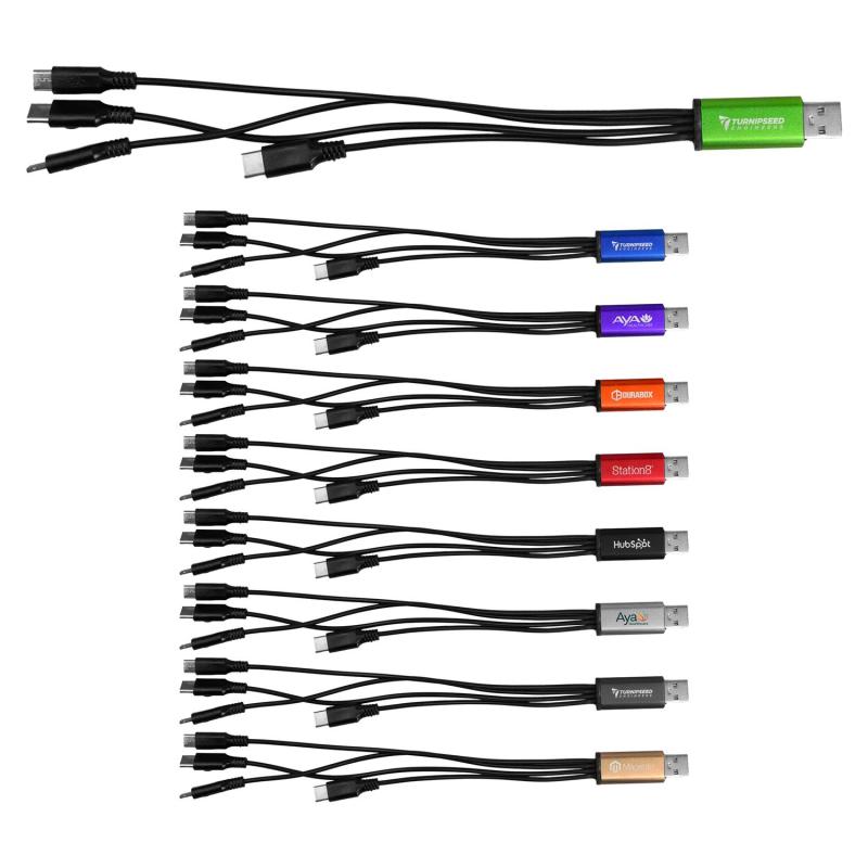 4-in-1 Dual Input Accent Cable 1 4-in-1 Dual Input Accent Cable 1