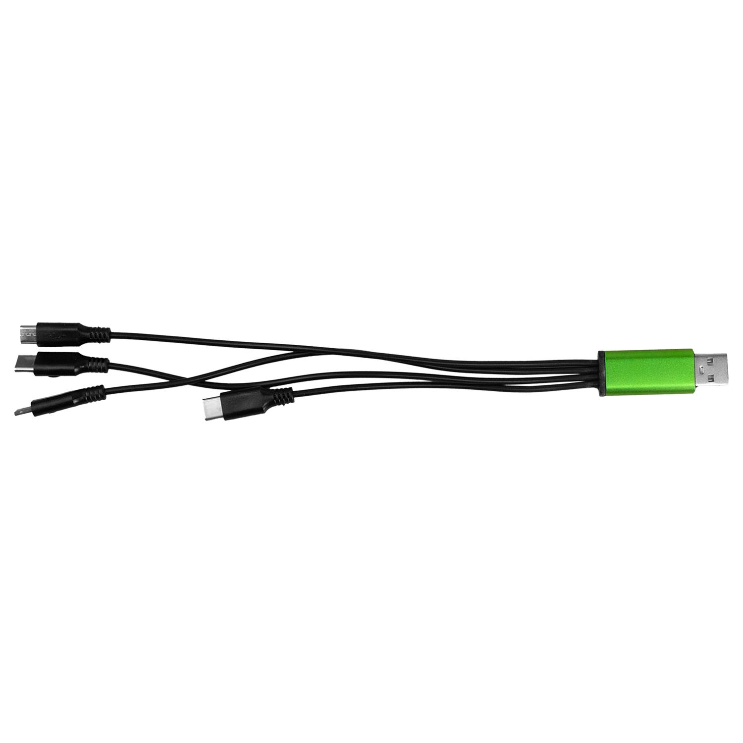 4-in-1 Dual Input Accent Cable 1
