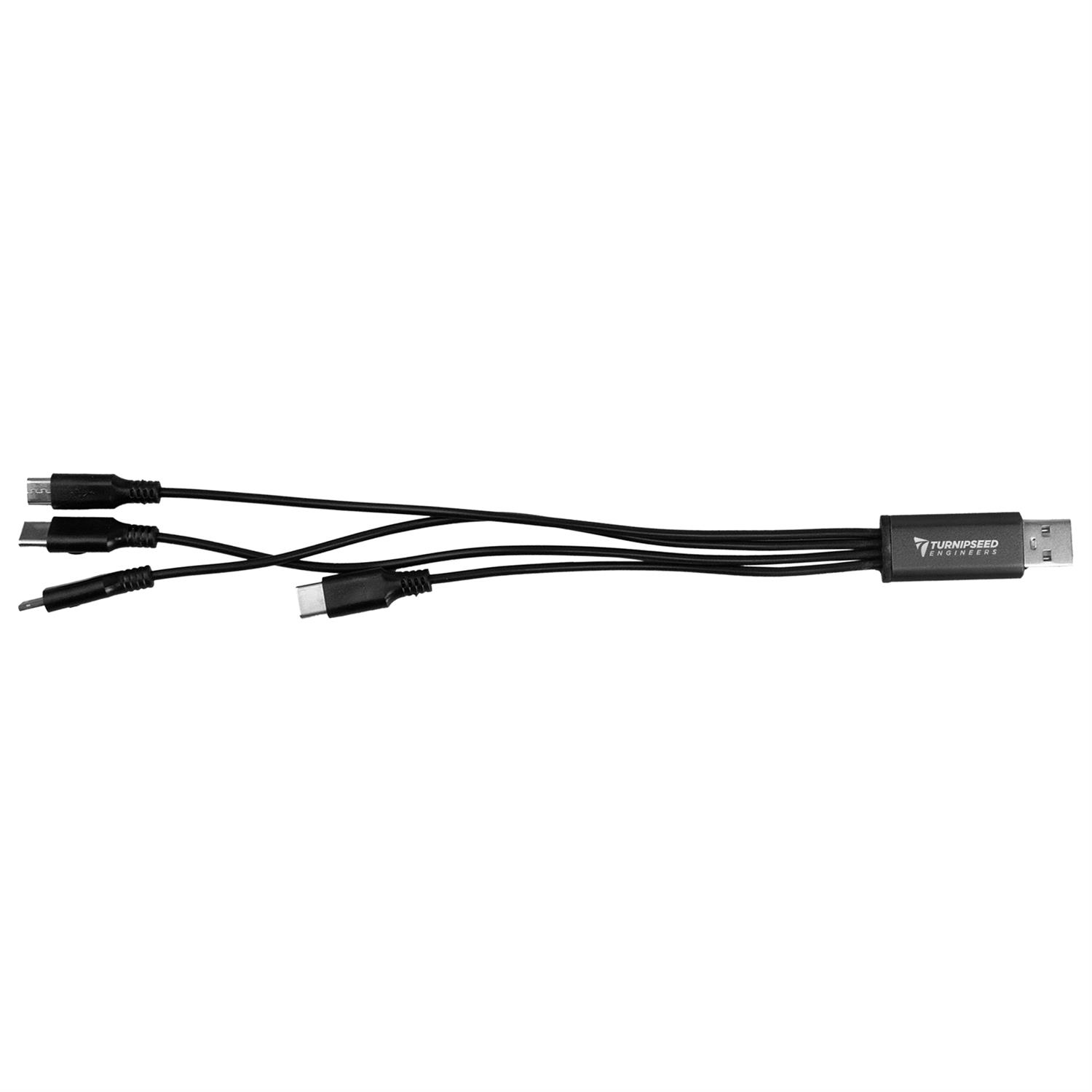 4-in-1 Dual Input Accent Cable 1