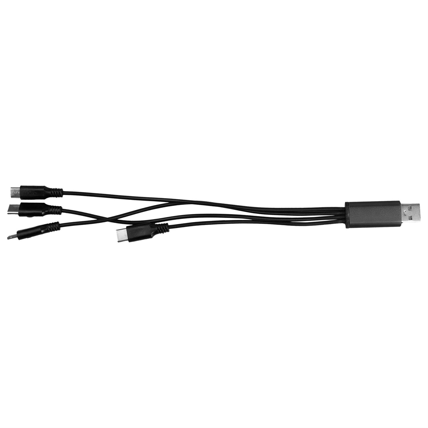 4-in-1 Dual Input Accent Cable 1