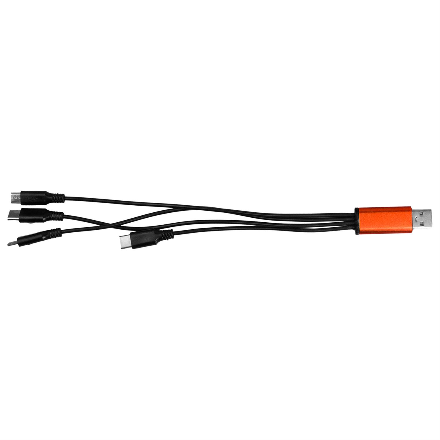 4-in-1 Dual Input Accent Cable 1