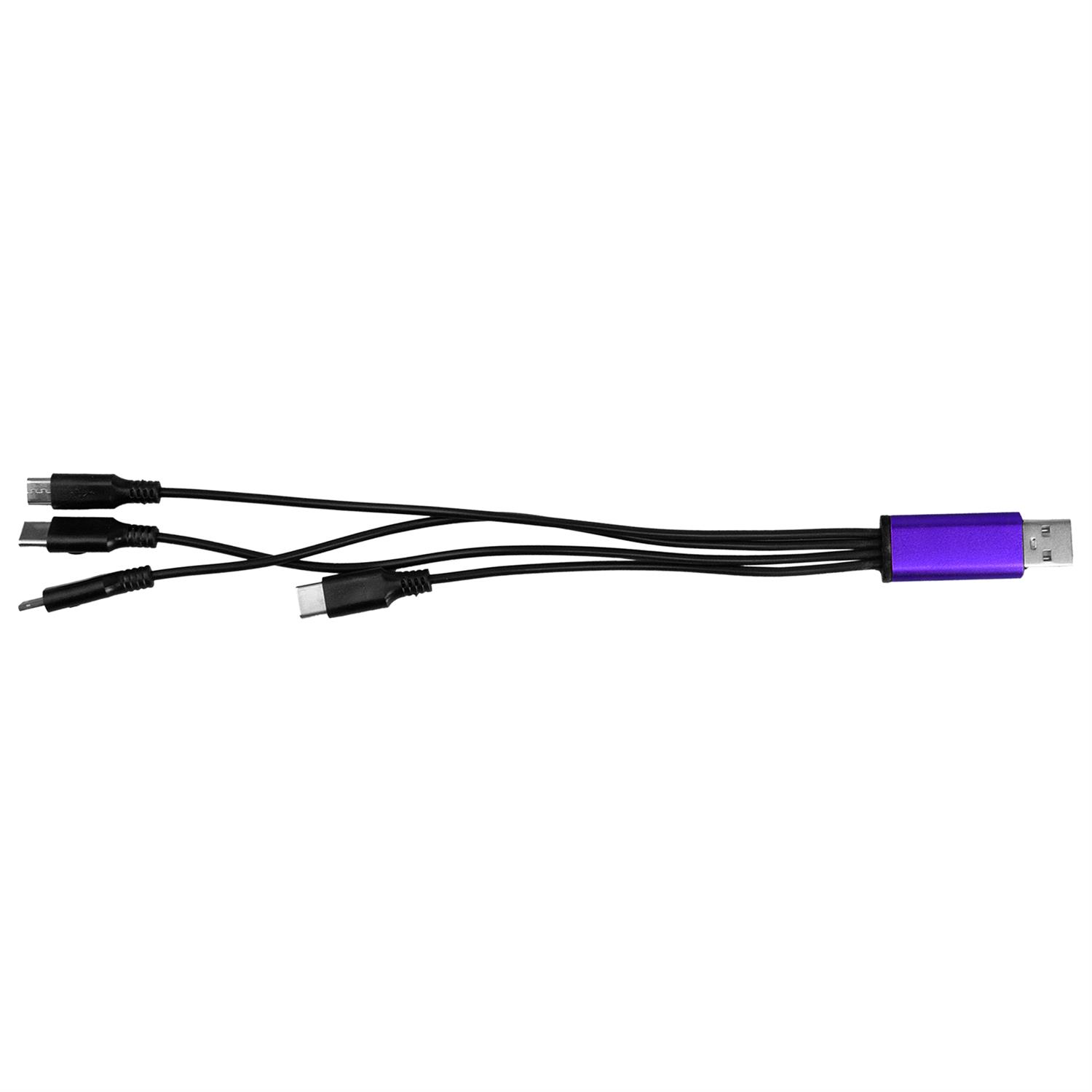 4-in-1 Dual Input Accent Cable 1