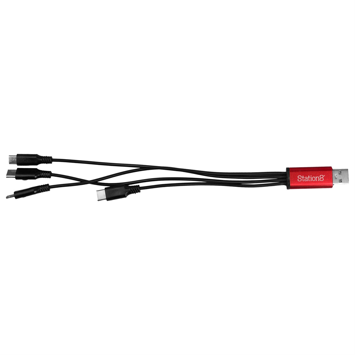 4-in-1 Dual Input Accent Cable 1