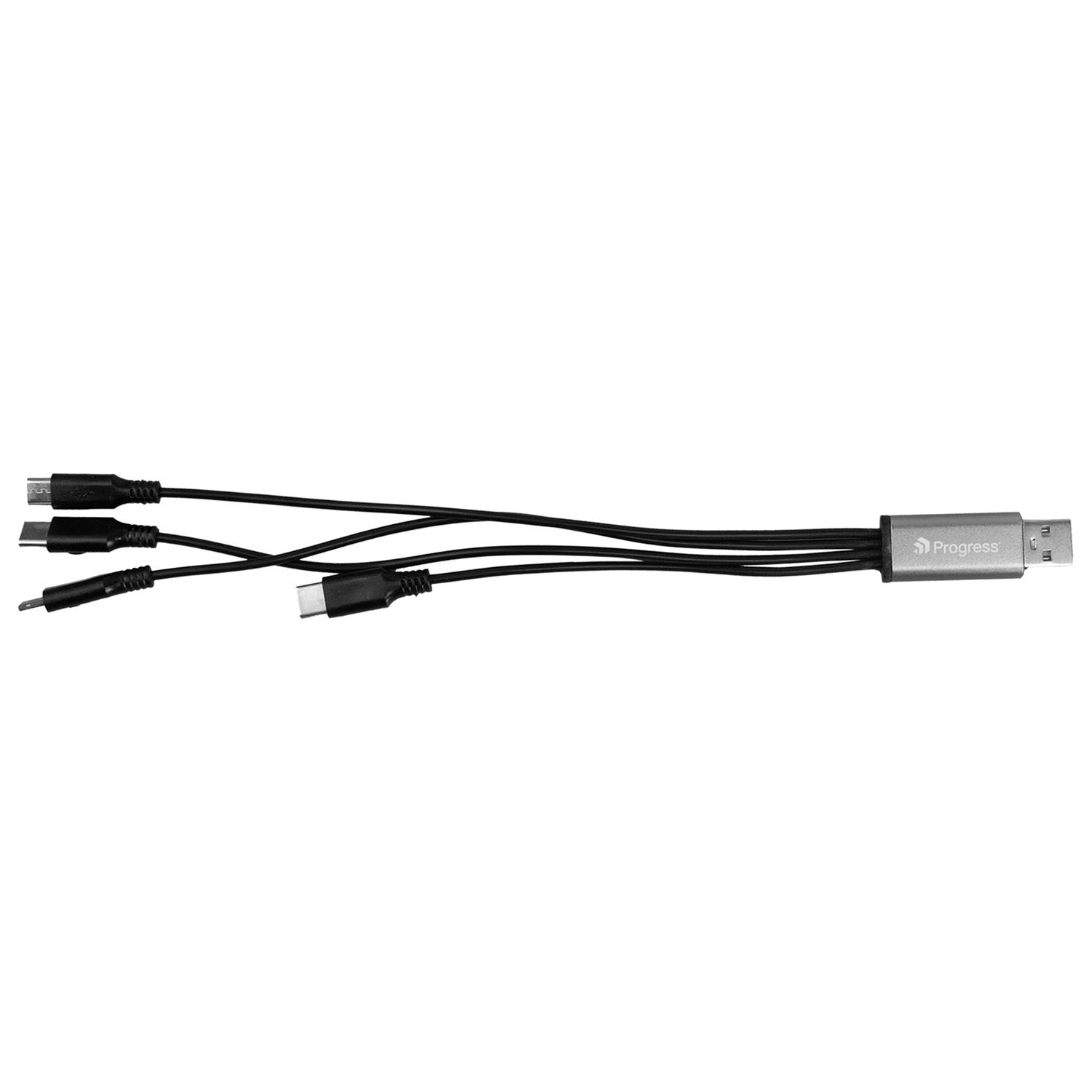 4-in-1 Dual Input Accent Cable 1