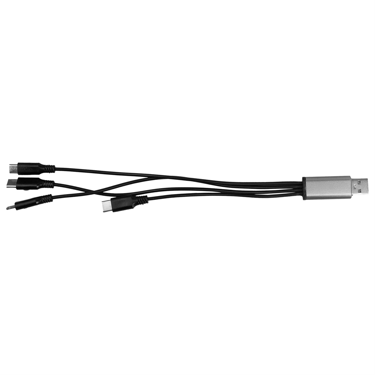 4-in-1 Dual Input Accent Cable 1