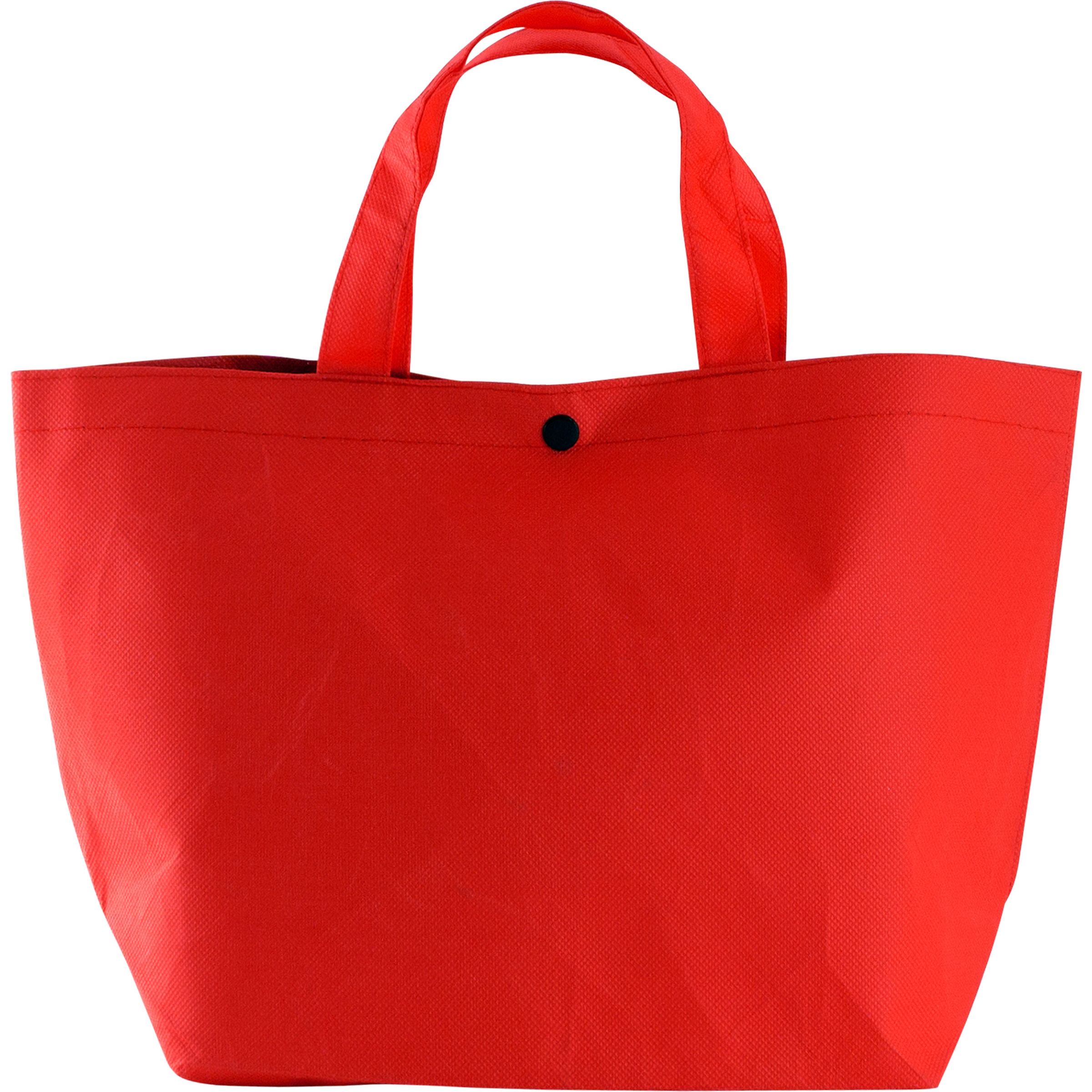 Snap Lunch Tote 1