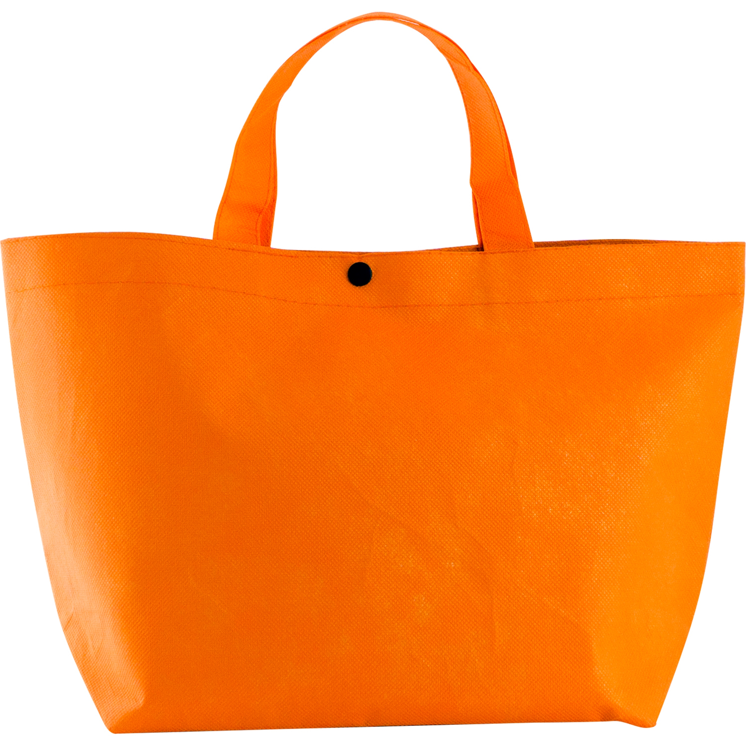 Snap Lunch Tote 1