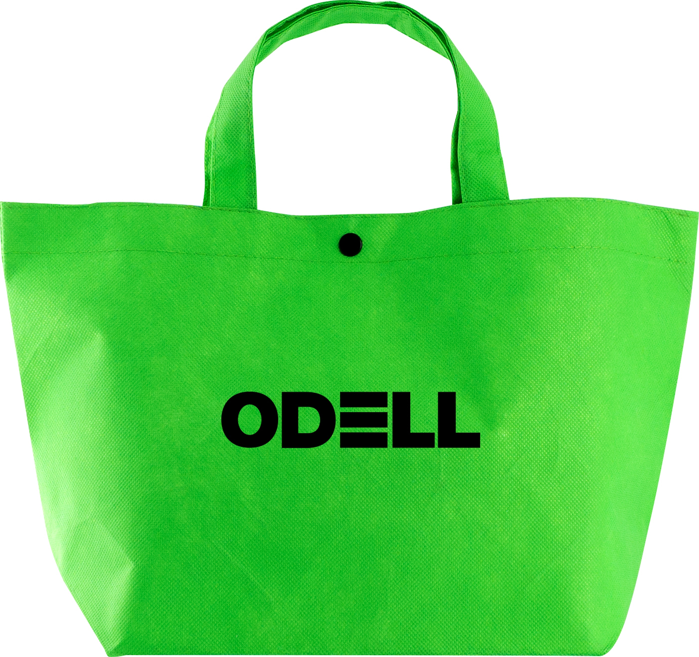 Snap Lunch Tote 1