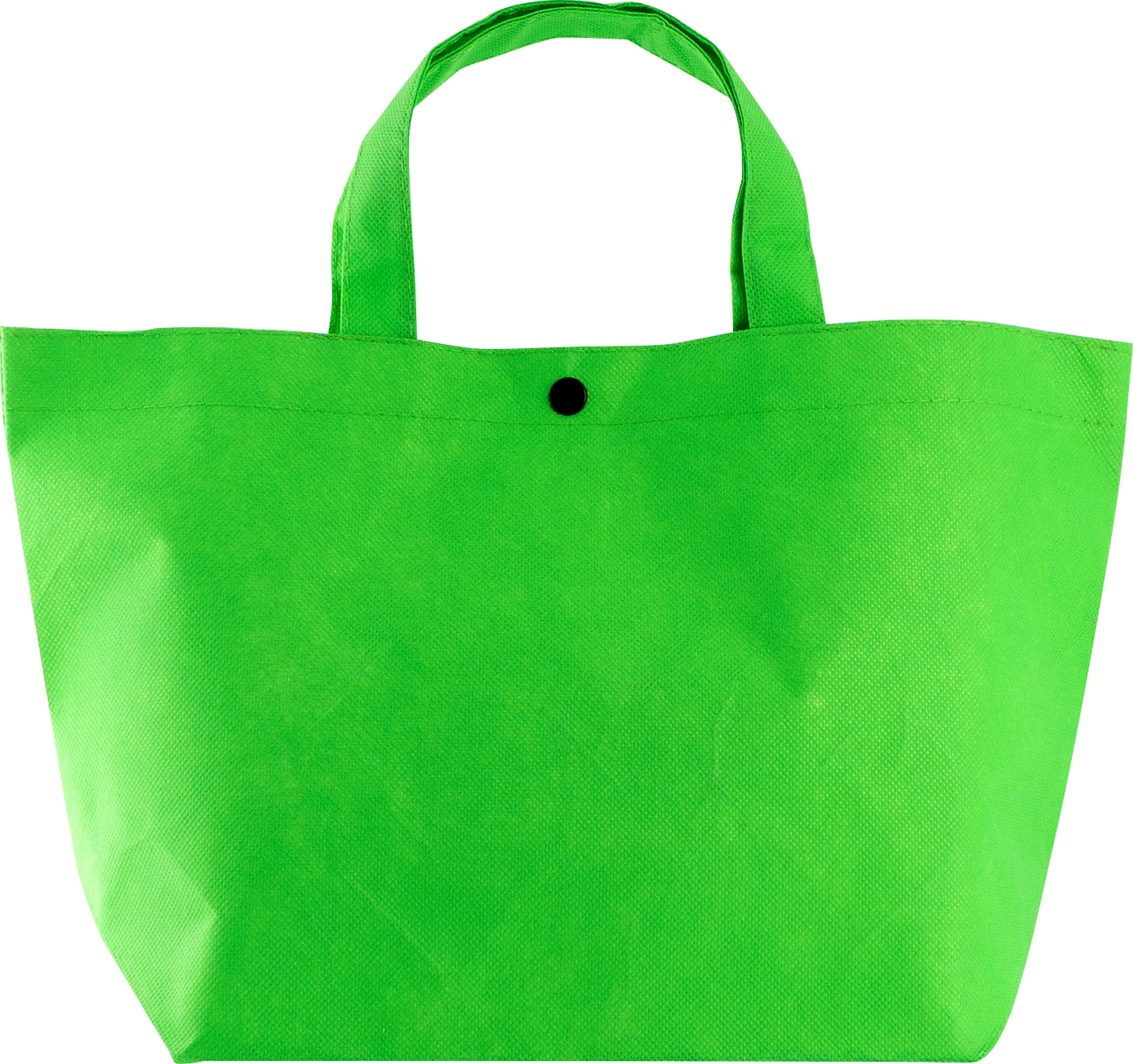 Snap Lunch Tote 1