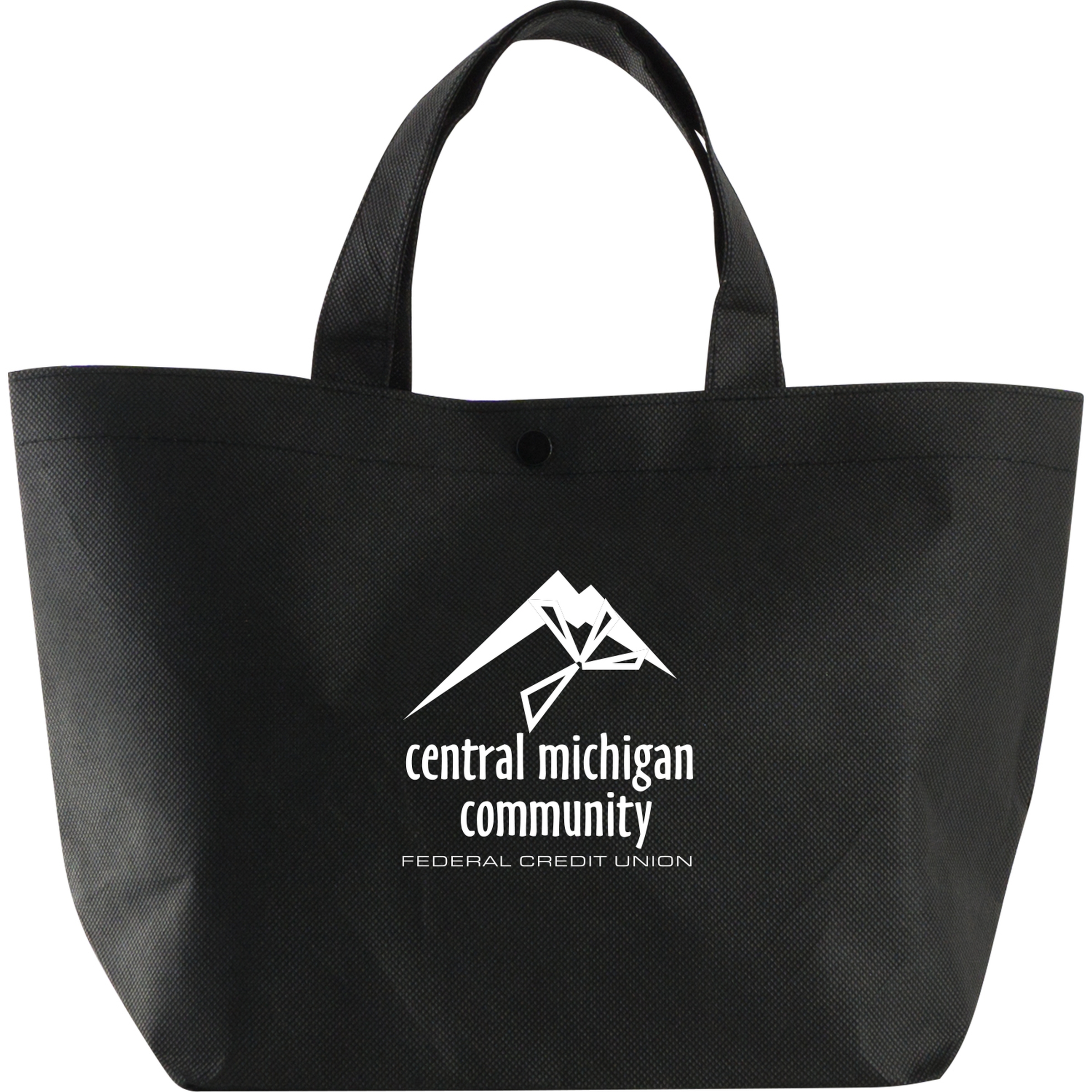 Snap Lunch Tote 1