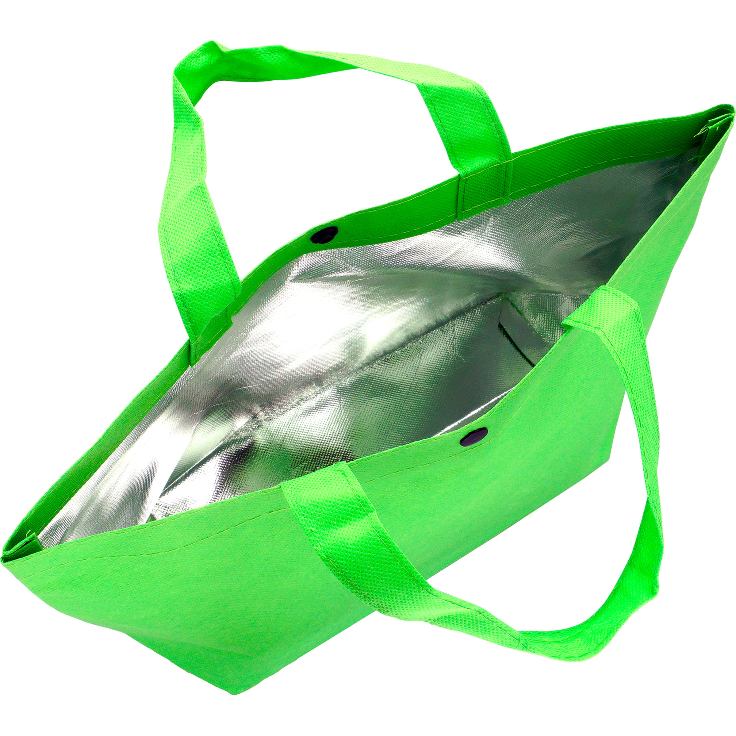 Snap Lunch Tote 1