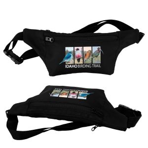 Trendy Fanny Pack 1 Trendy Fanny Pack 1