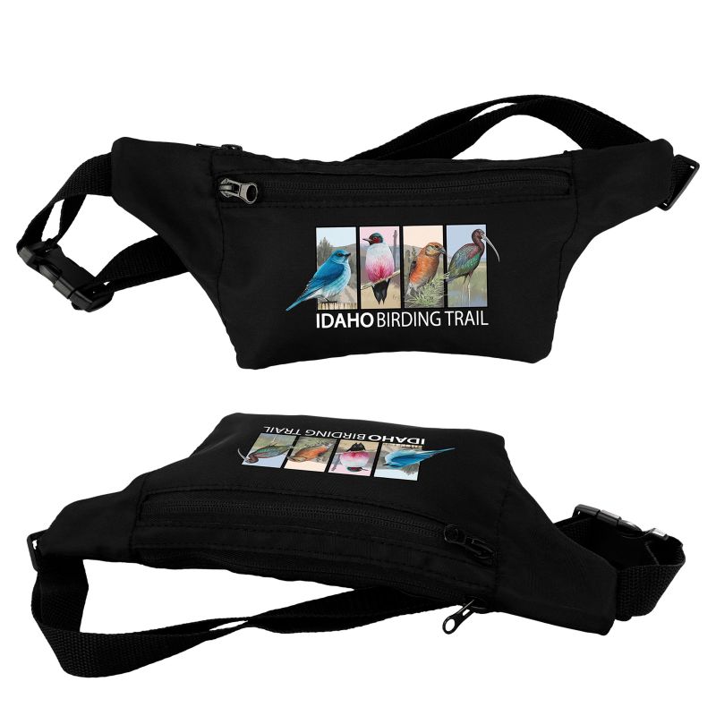 Trendy Fanny Pack 1 Trendy Fanny Pack 1