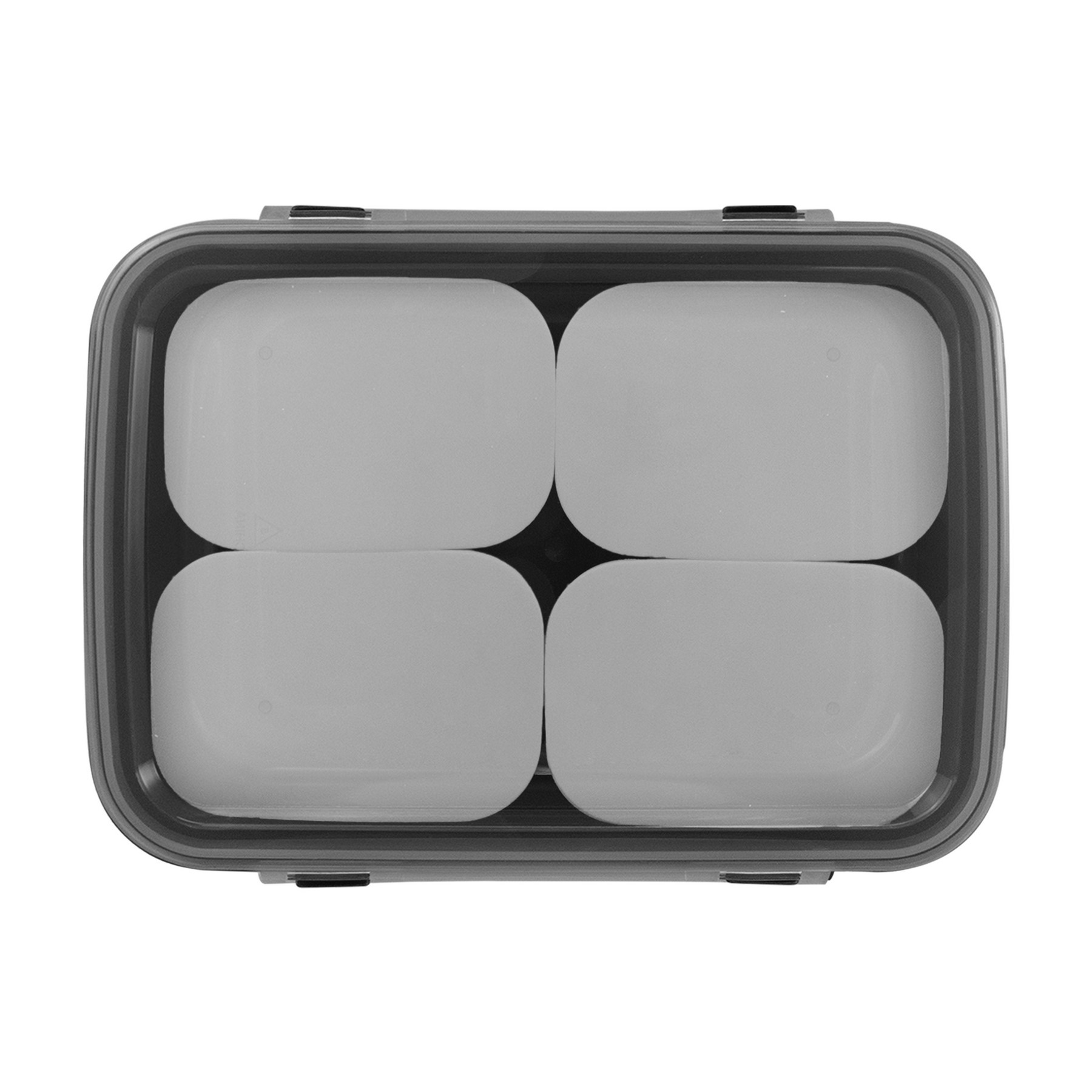 Full Color Sectioned Container 1