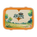Full Color Sectioned Container - Orange Logo Full Color Sectioned Container - Orange Logo