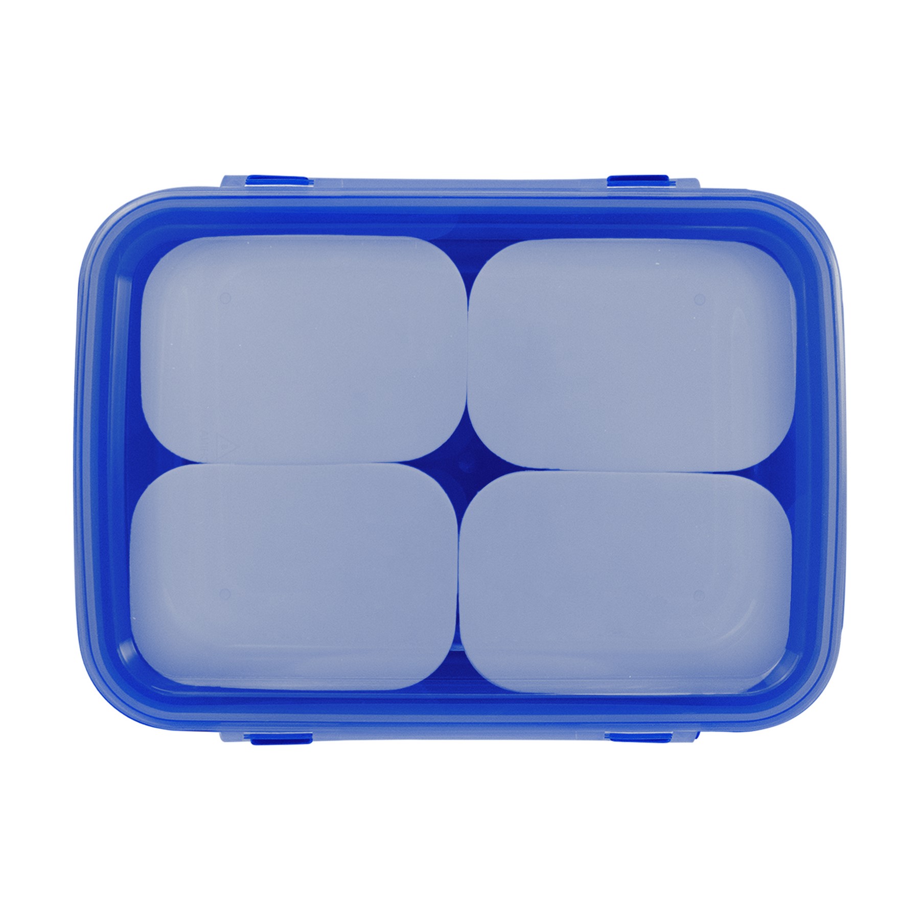 Full Color Sectioned Container 1