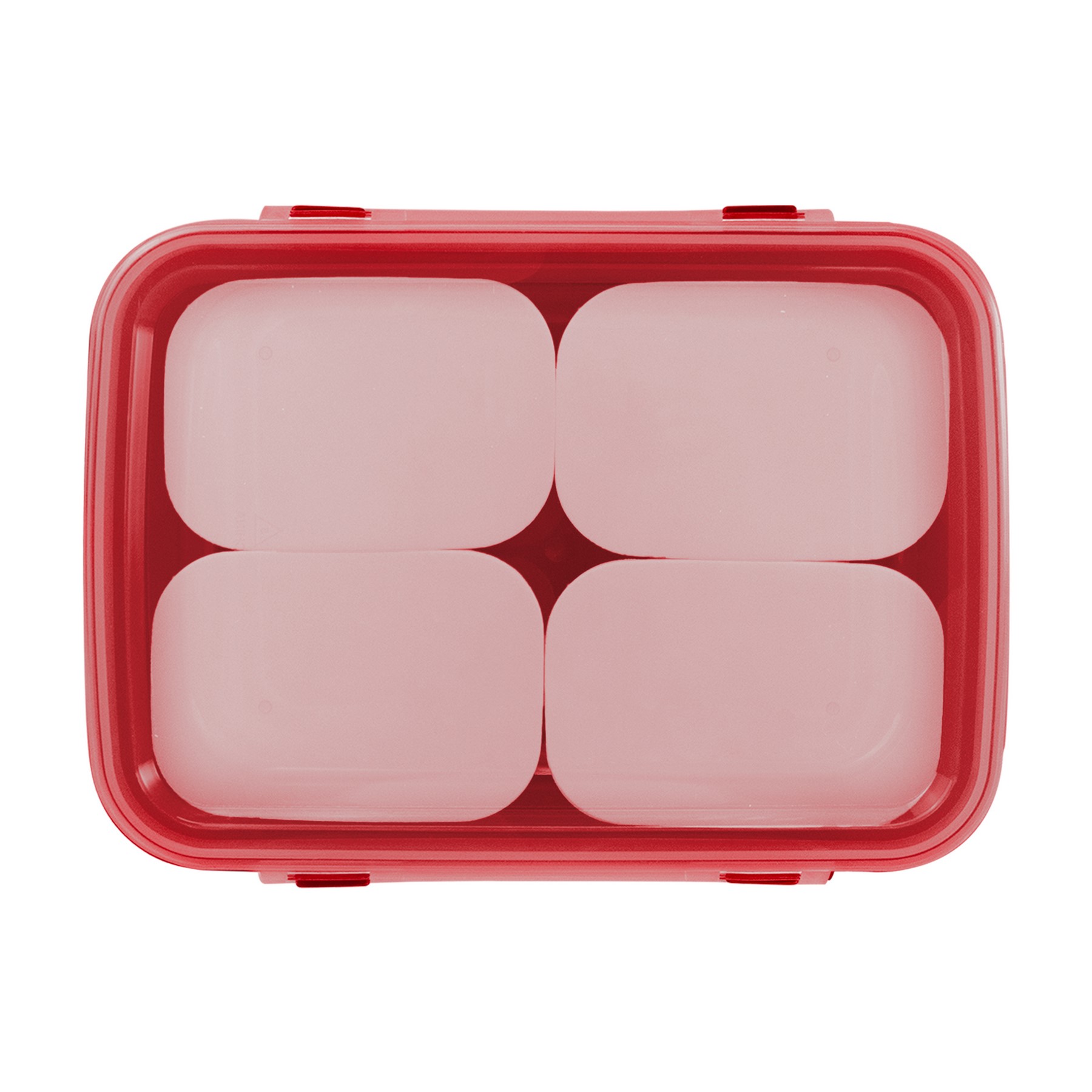 Full Color Sectioned Container 1