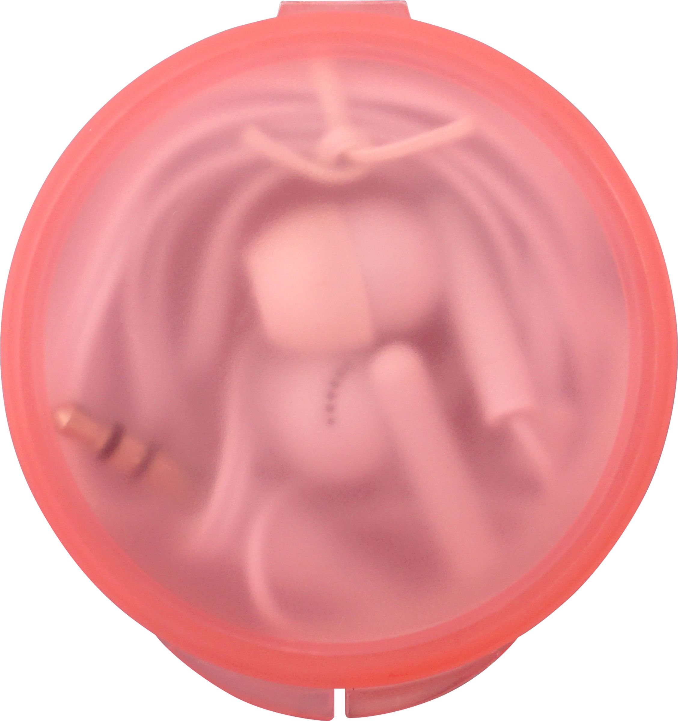 Round Ear Bud Case 1