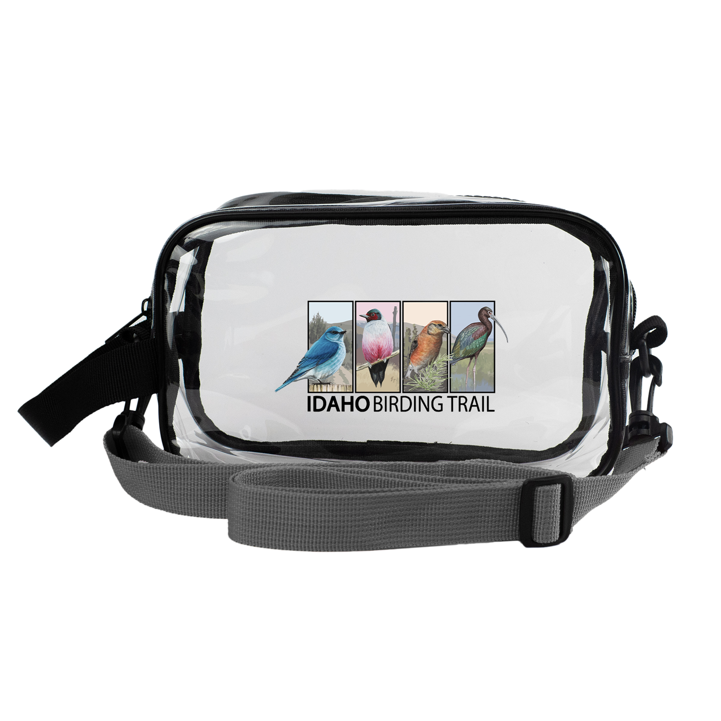 Clear Crossbody Bag 1