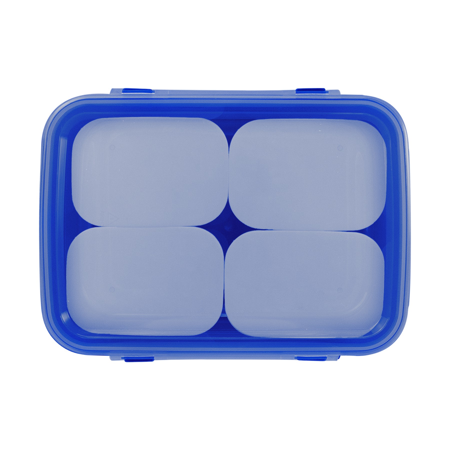 Sectioned Container 1