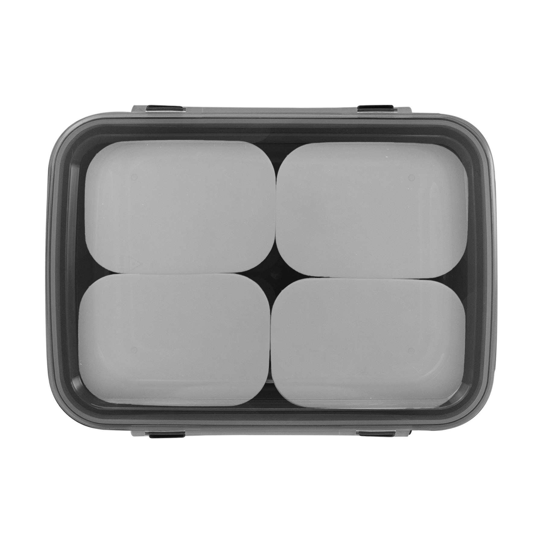 Sectioned Container 1