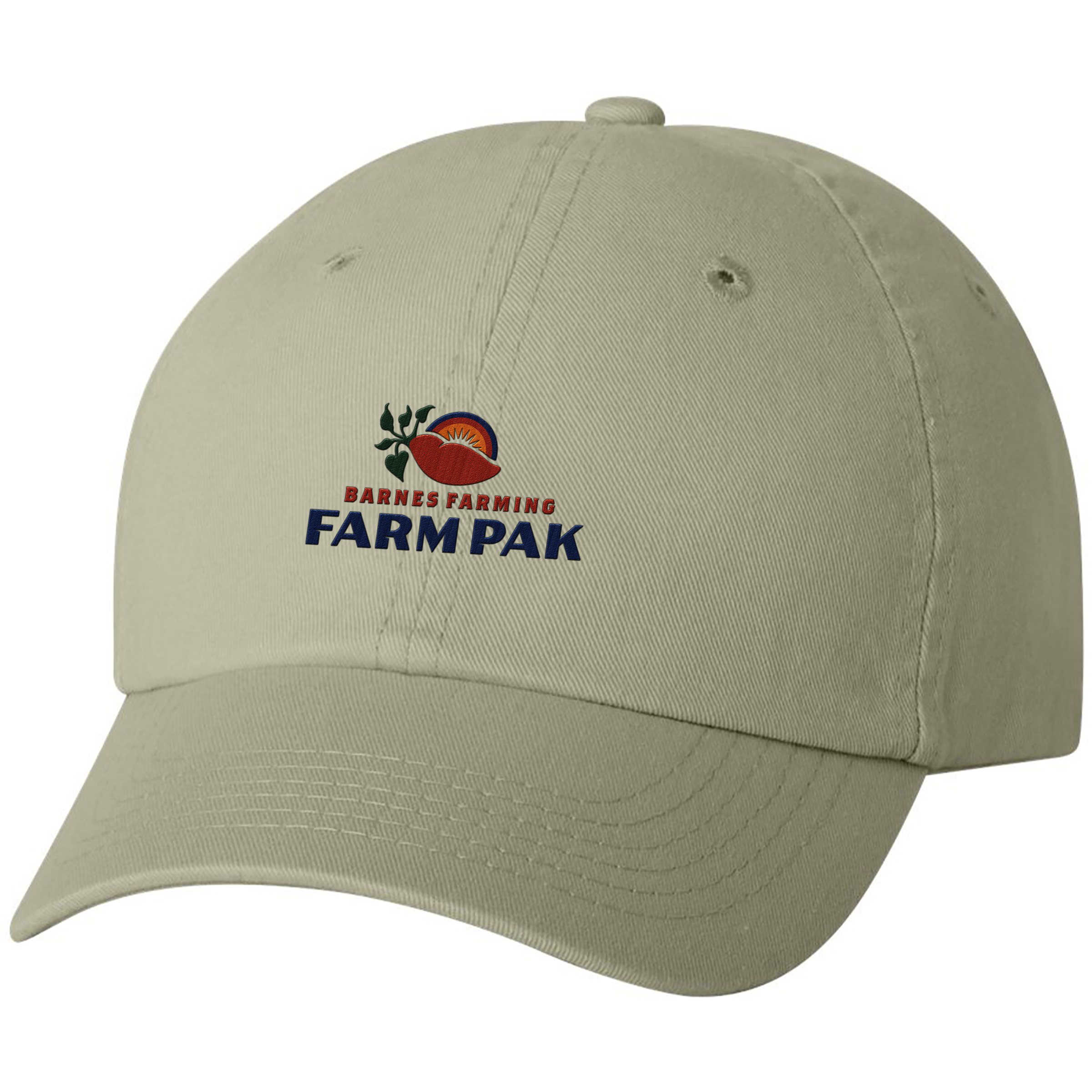 Valucap® Adult Bio-Washed Classic Dad's Cap 1
