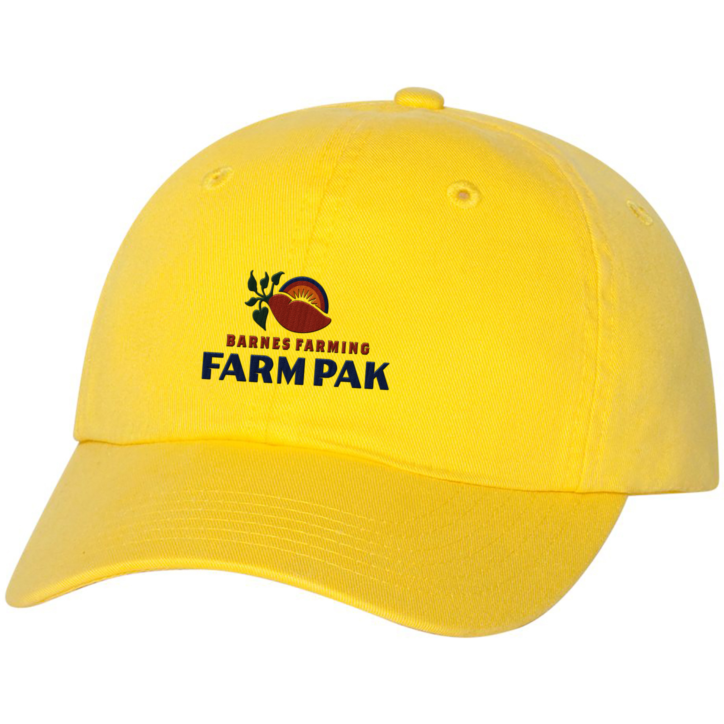 Valucap® Adult Bio-Washed Classic Dad's Cap 1