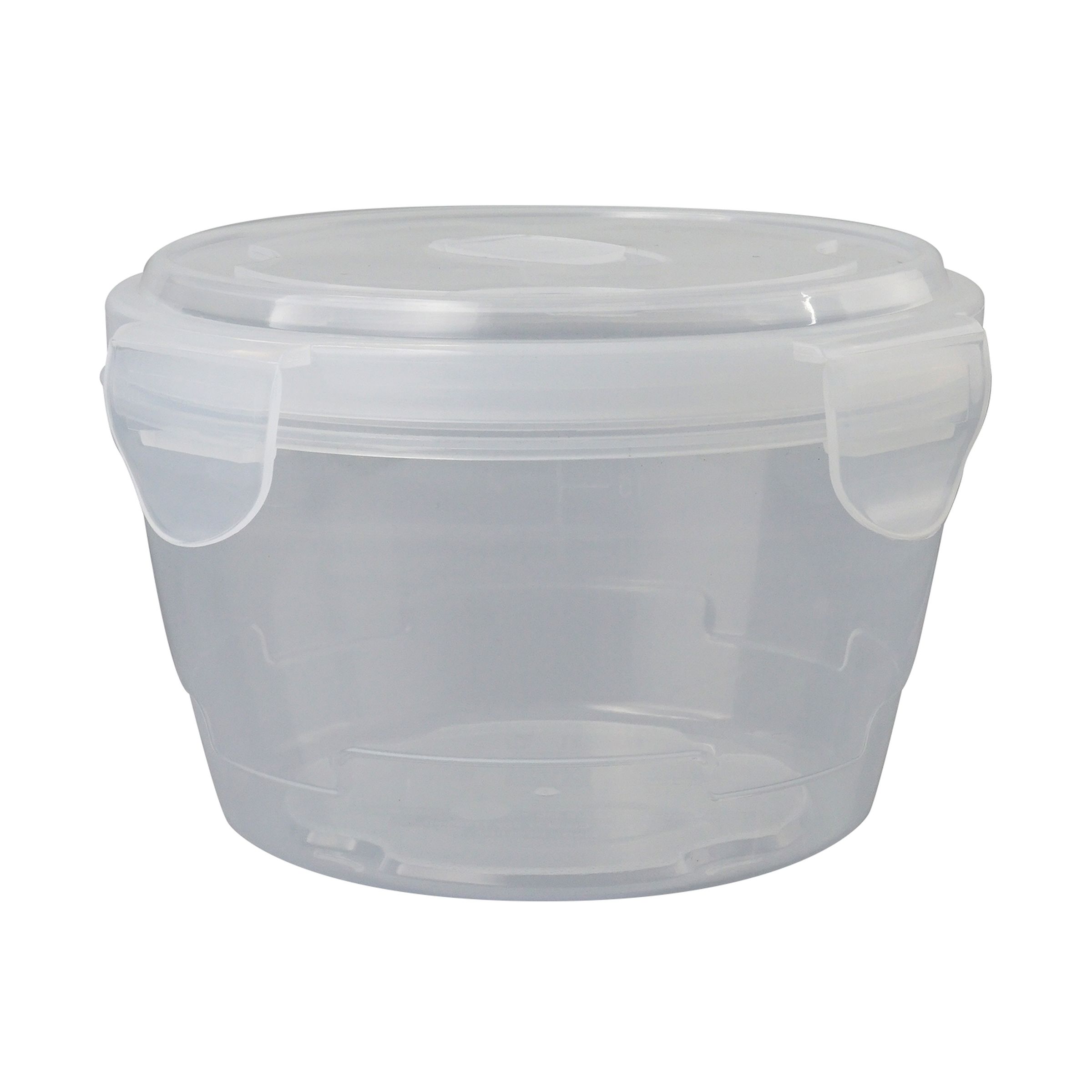Large Locking Lid Bowl 1