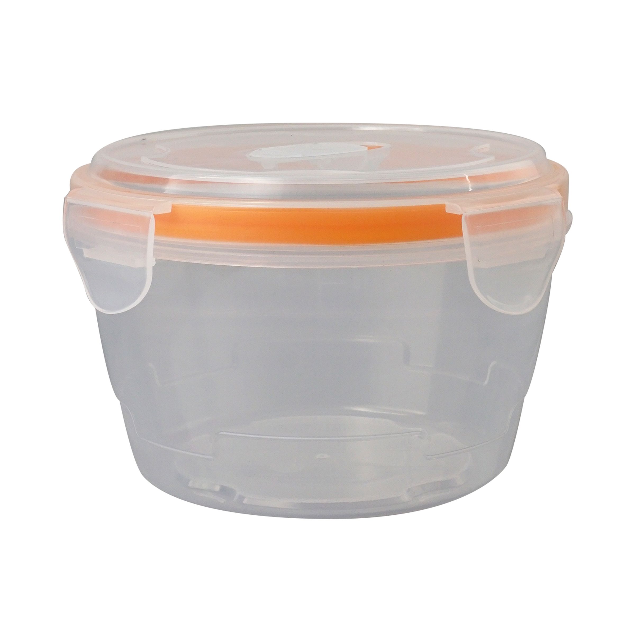 Large Locking Lid Bowl 1