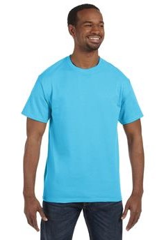 Hanes® Men's 6.1 Oz. Tagless T-Shirt 1