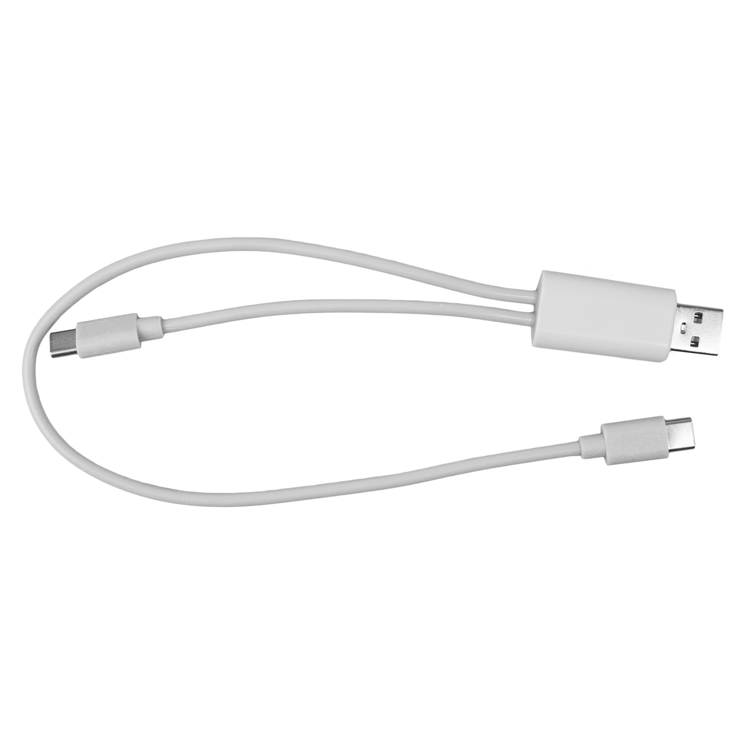 Dual Input A + C to C Accent Cable 1