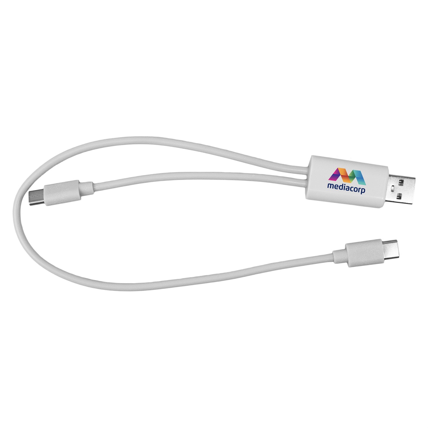 Dual Input A + C to C Accent Cable 1