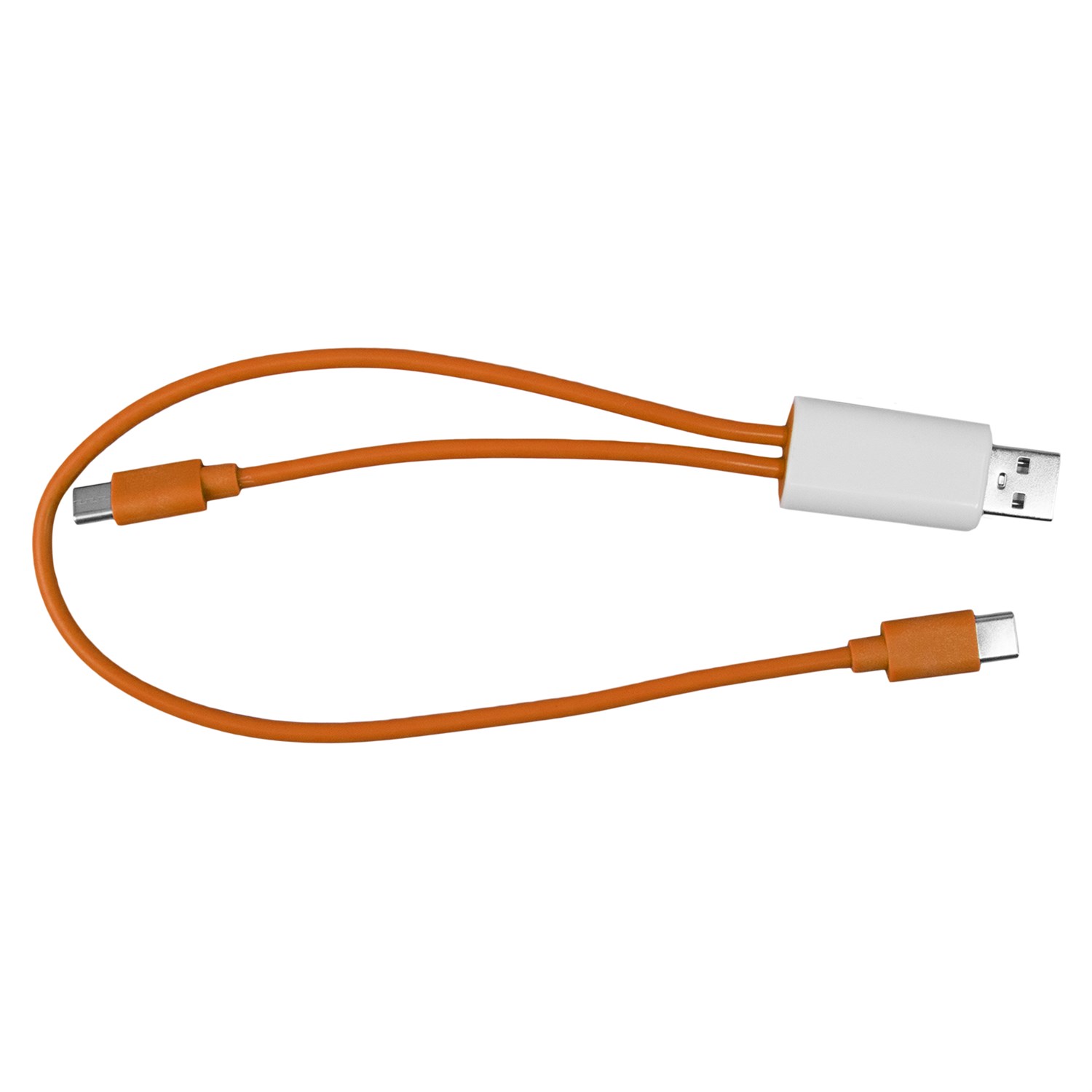 Dual Input A + C to C Accent Cable 1