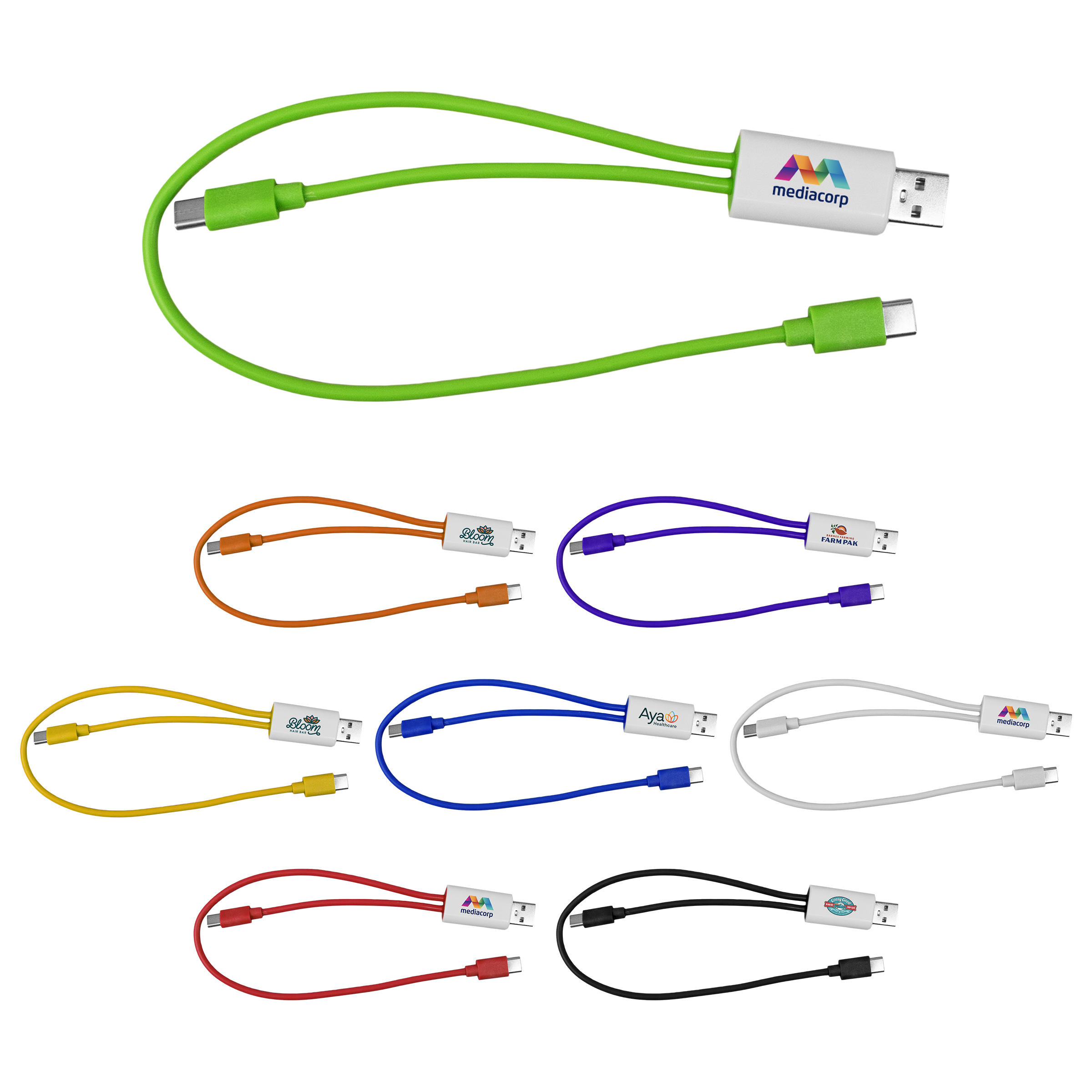 Dual Input A + C to C Accent Cable 1