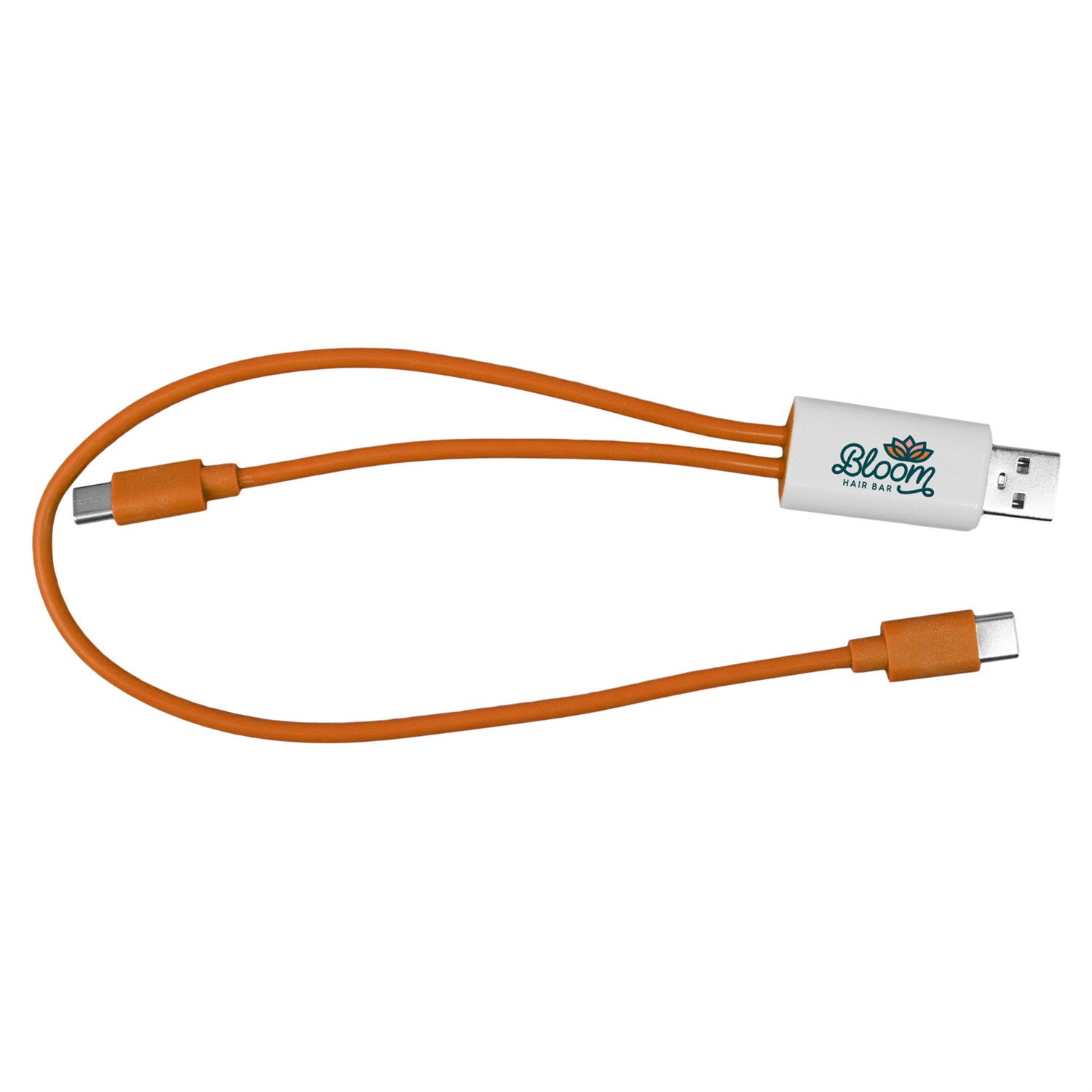 Dual Input A + C to C Accent Cable 1