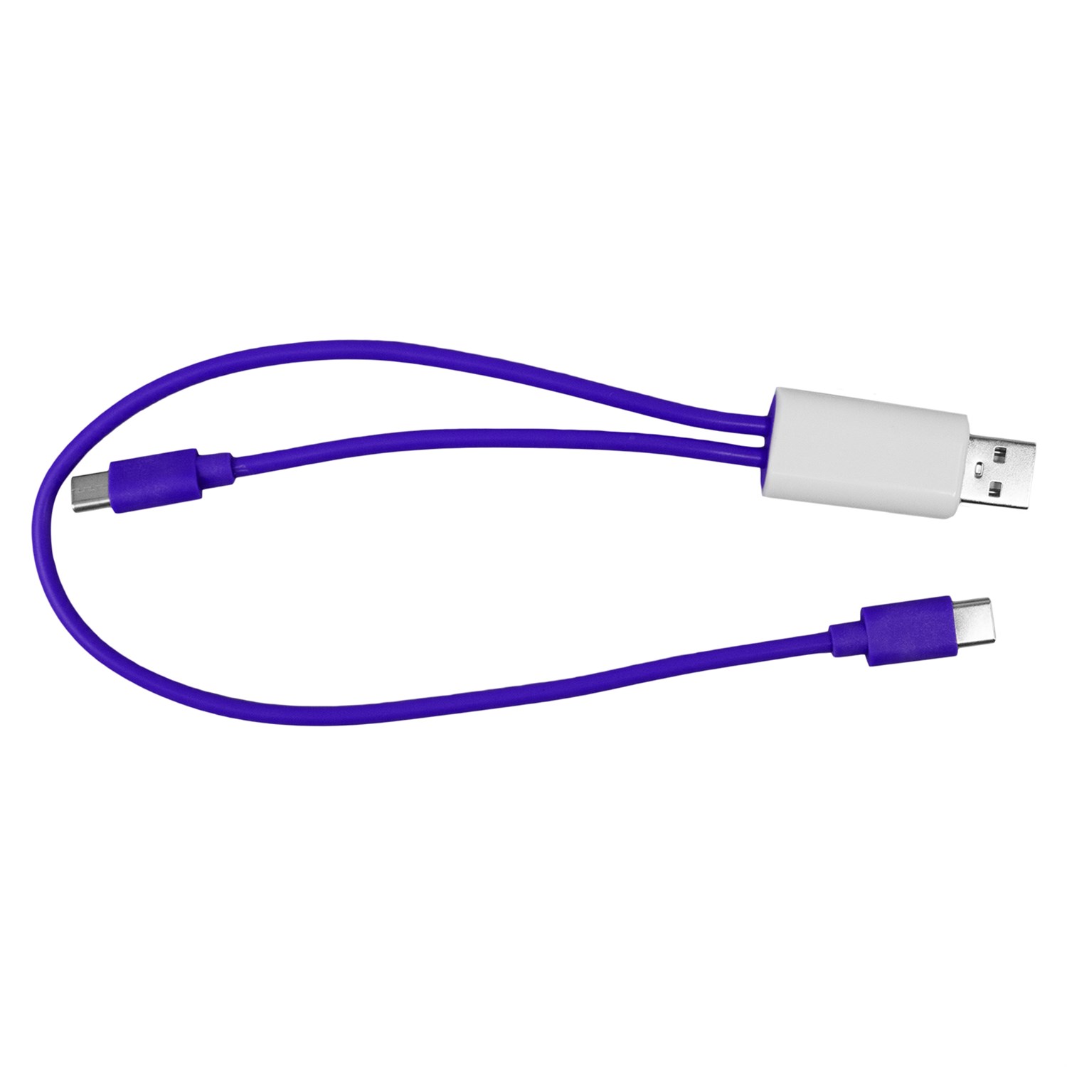Dual Input A + C to C Accent Cable 1