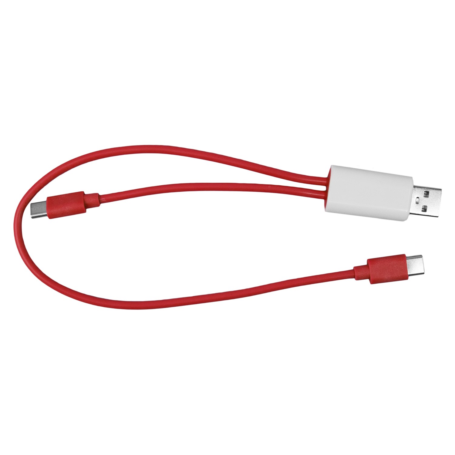 Dual Input A + C to C Accent Cable 1