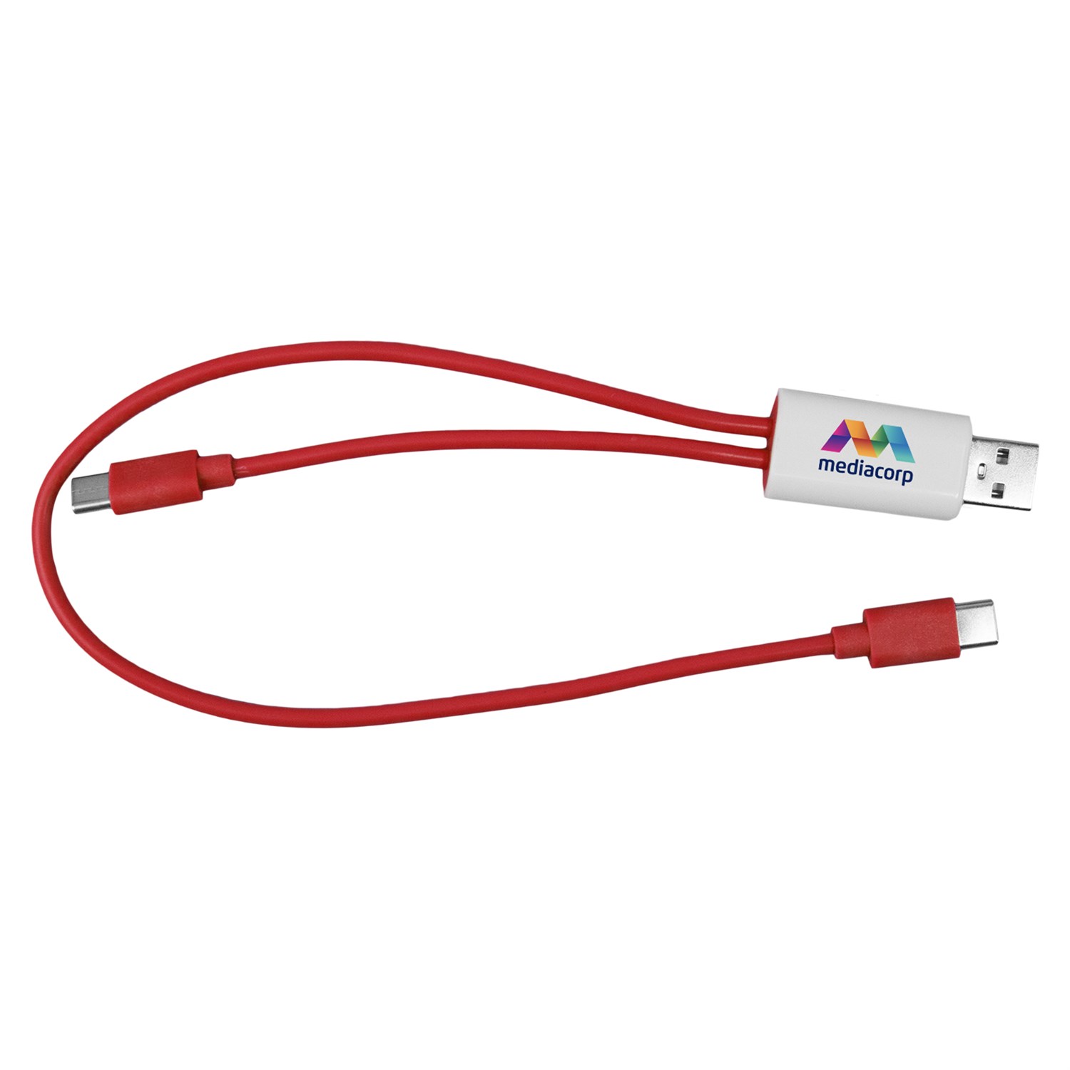 Dual Input A + C to C Accent Cable 1