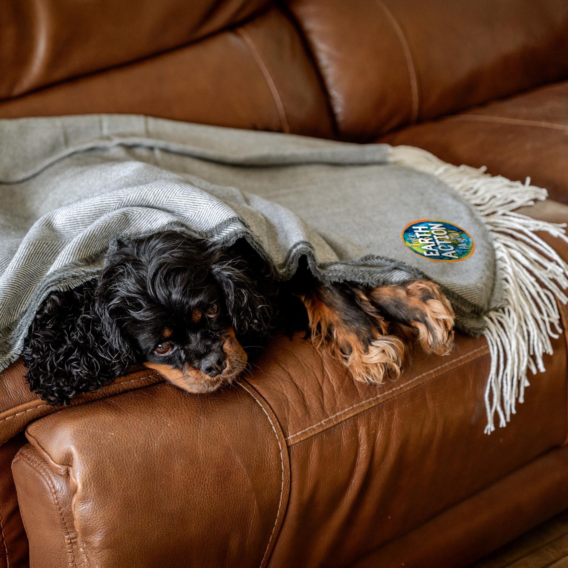 Fringed Throw Blanket 1