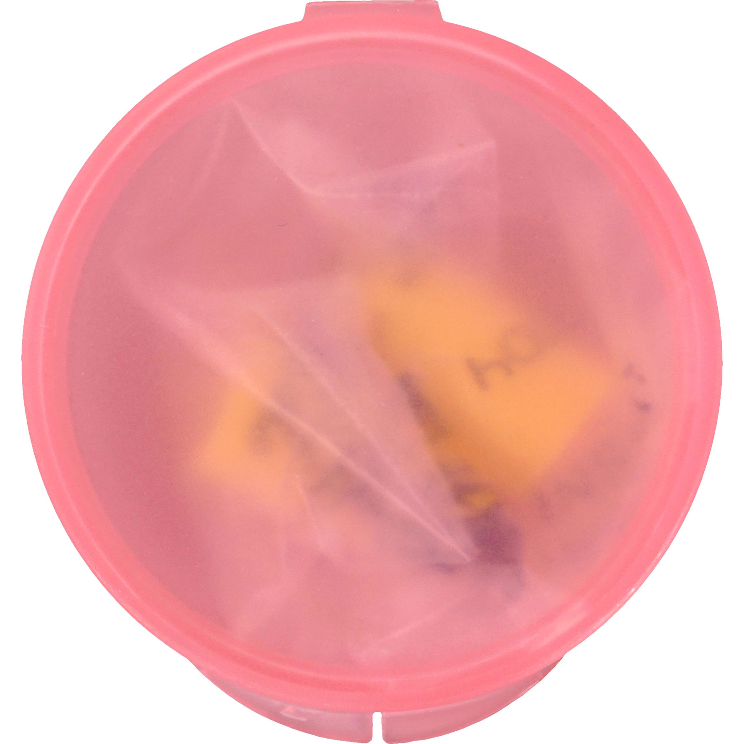 Ear Protection in Round Case 1