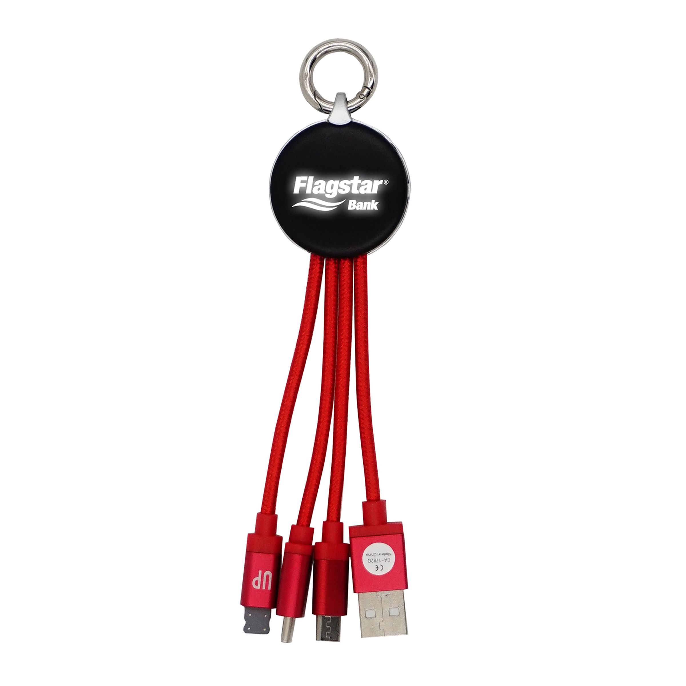 Metallic Logo Light Up Cable w/Type C USB 1